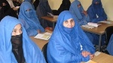 وسائط إعلامية وسائط إعلامية